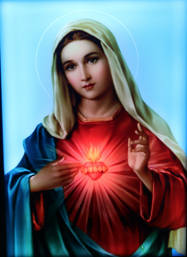 SACRED HEART MARY (LED)