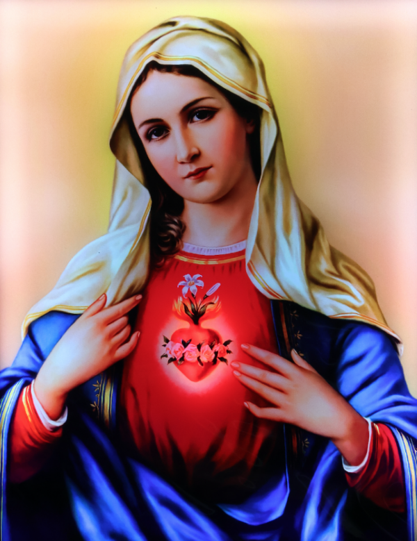 SACRED HEART MARY (LED)